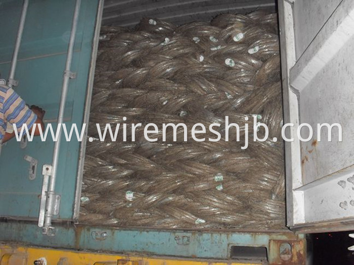 Galvanized Wire BWG20